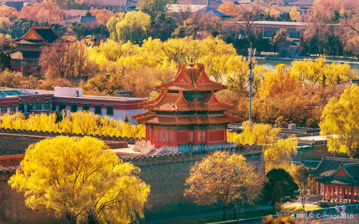 Autumn colours around a palace pavilion from above